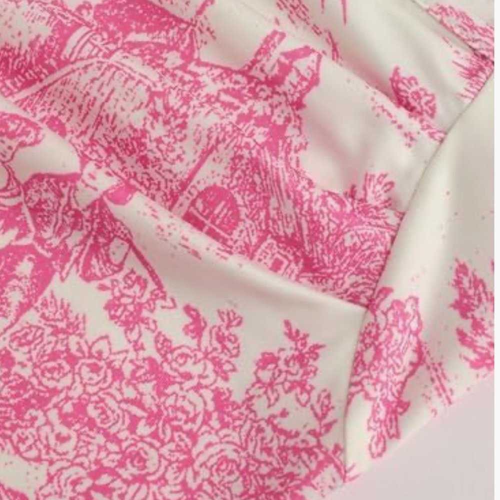 CIDER Toile De Jouy Ruched Mini Dress - Picture 3 of 13
